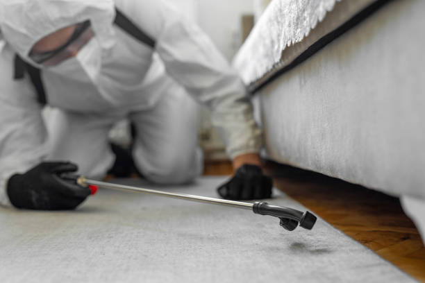 Professional Bed Bug Control technician working in Walnut Grove, CA