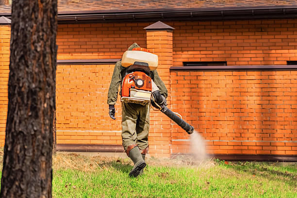Trusted Ant Control service in Walnut Grove, CA - Nex Pest Control